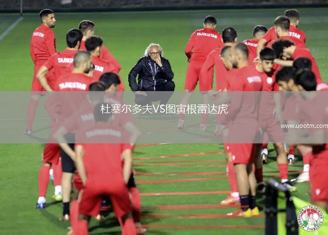 杜塞尔多夫VS图寅根雷达虎